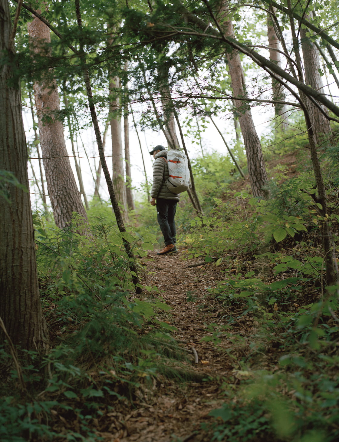 Hiroyoshi Manomeのポートレート写真2